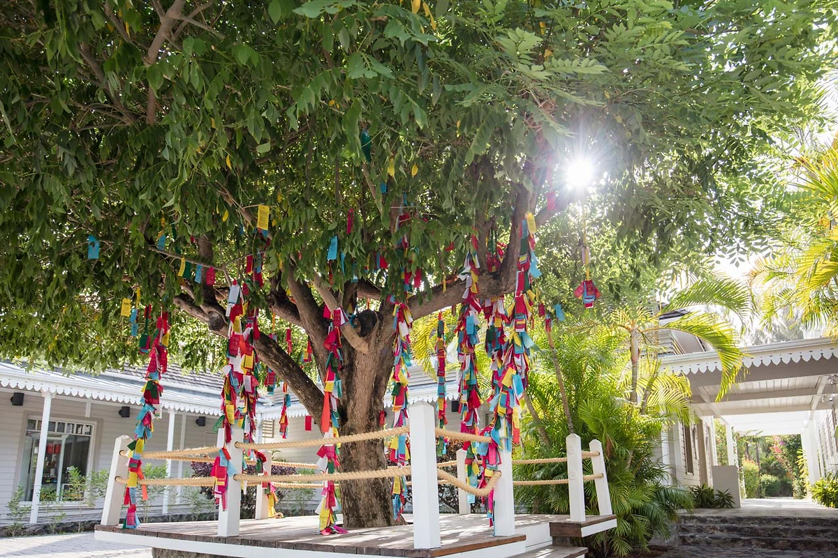 Arbre à souhaits, LUX* Saint Gilles, Île de la Réunion