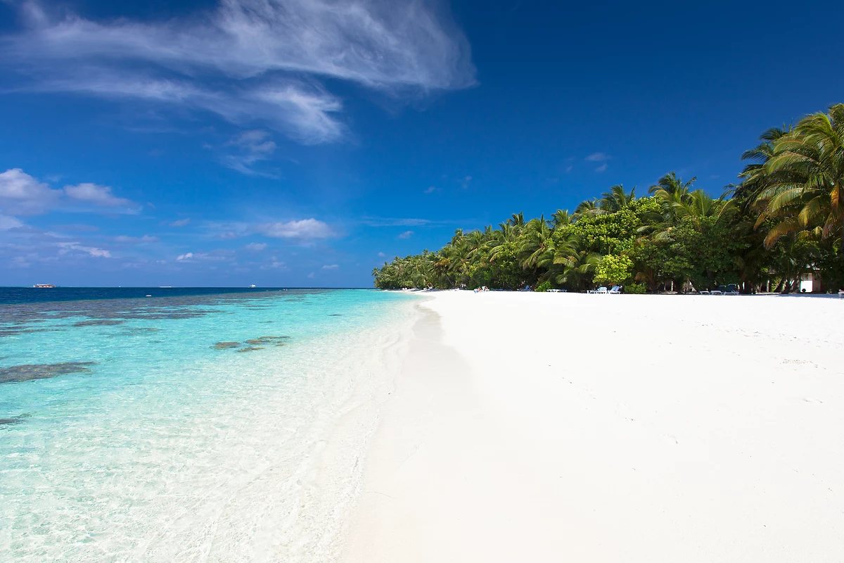 Plage, Vilamendhoo Island Resort & Spa, Atoll d'Ari, Maldives