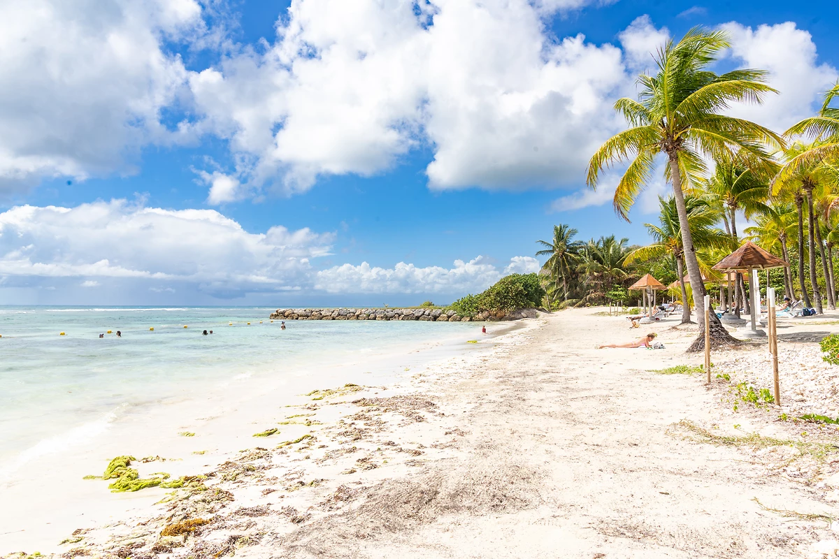 Plage, Pierre & Vacances Sainte-Anne, Guadeloupe