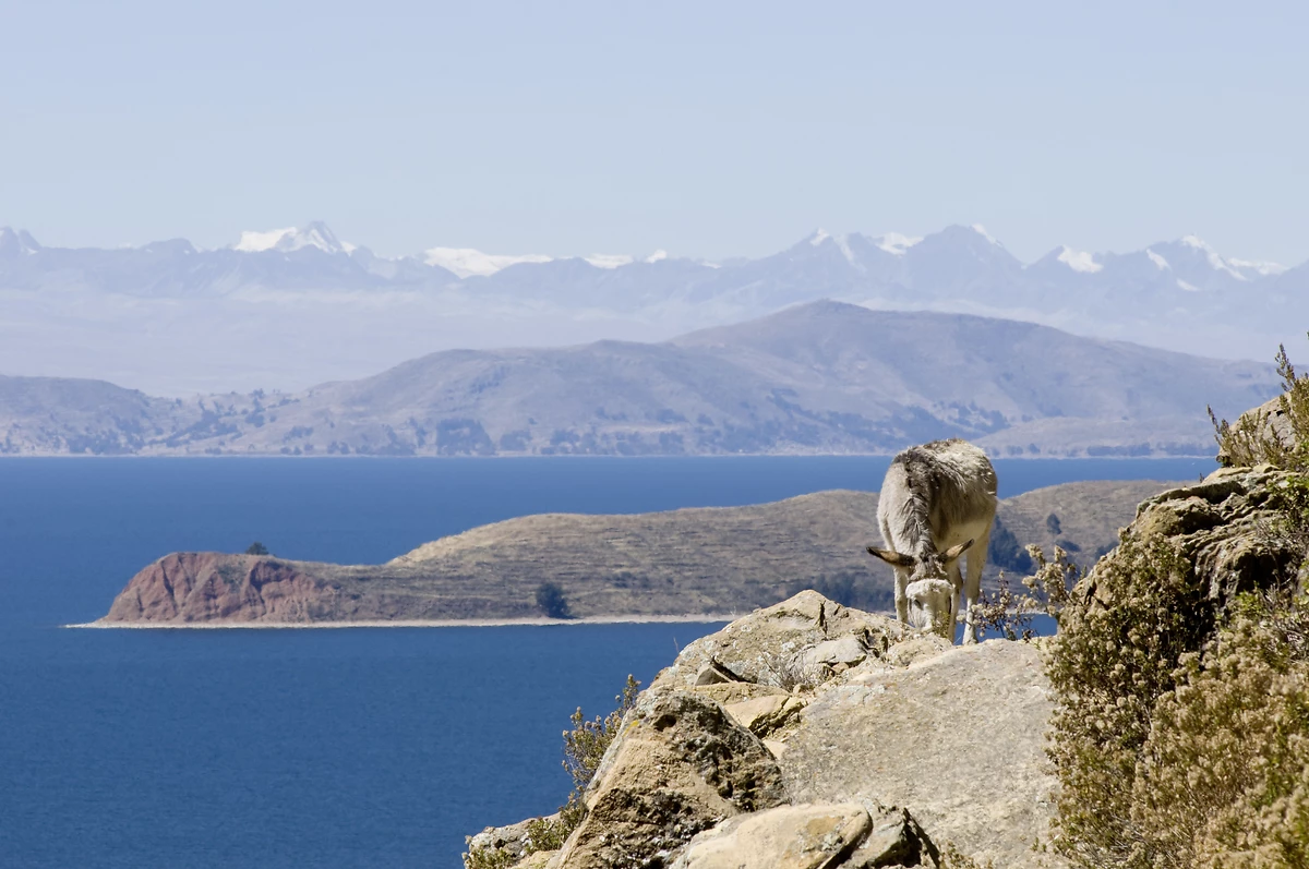 Lac Titicaca, pérou