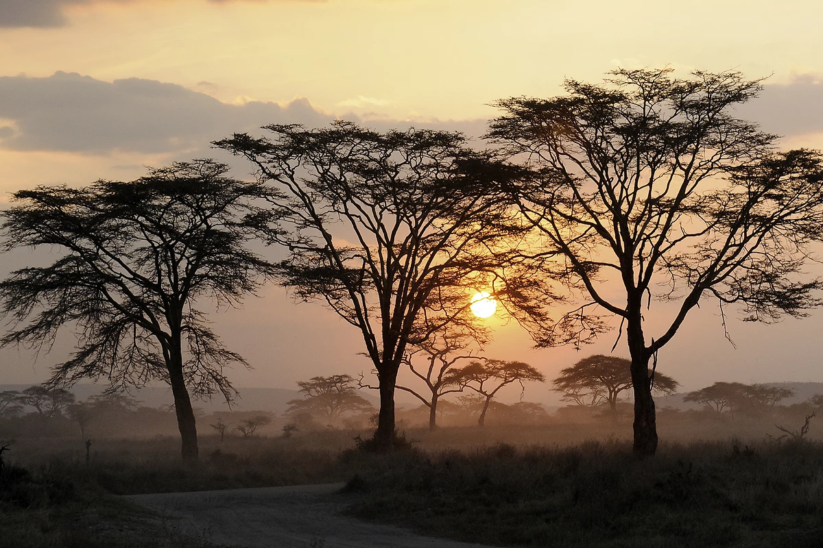 Serengeti, Tanzanie