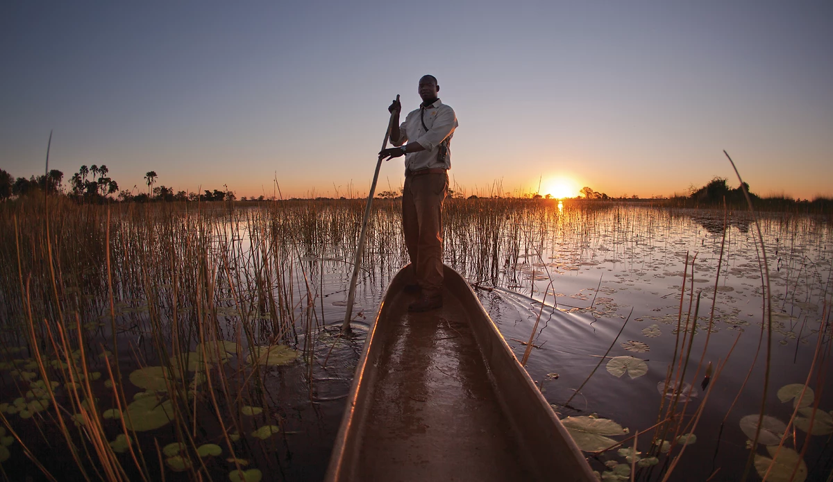 Bateau, Delta de l'Okavango, Botswana