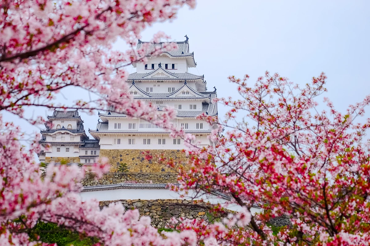 Le château de Himeji (UNESCO), Osaka