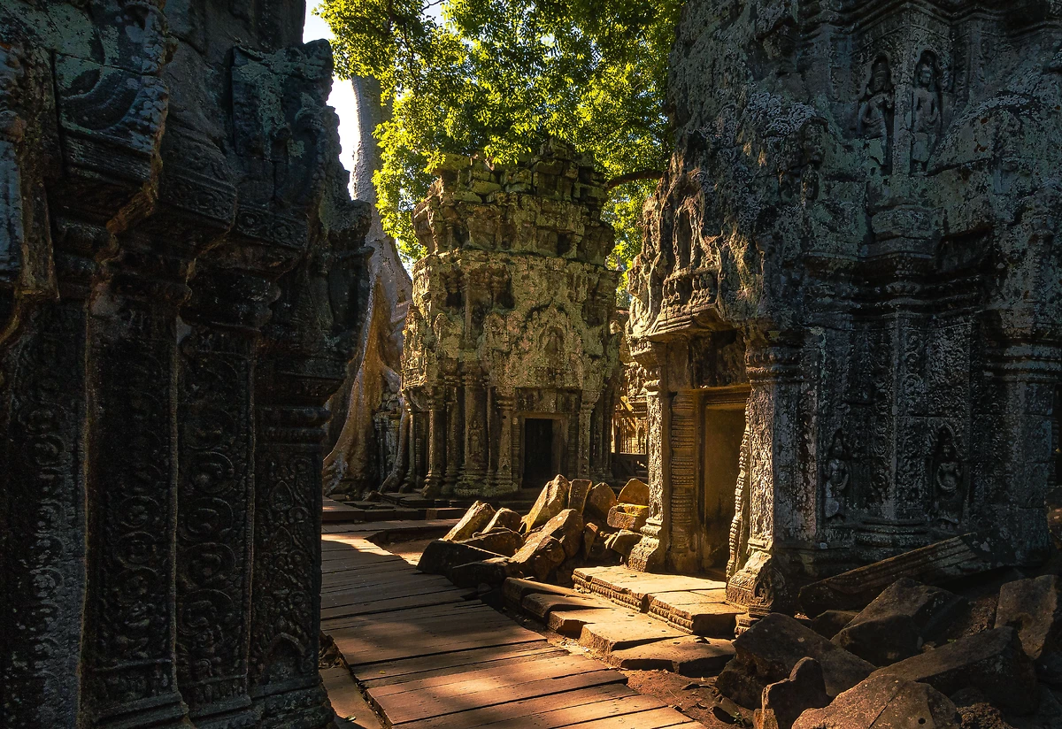 Temple Ta Prohm, Angkor, Cambodge