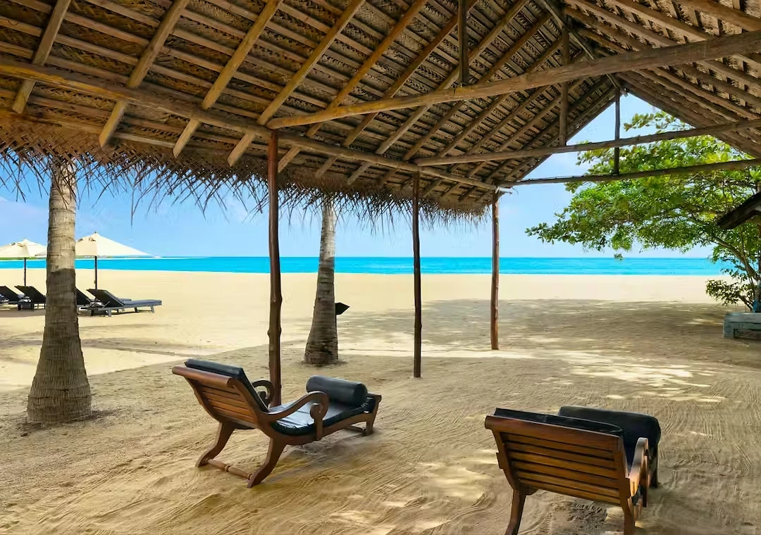 Transats à l'ombre, Maalu Maalu Resort & Spa, Sri Lanka Origine de la photo : site hôtel