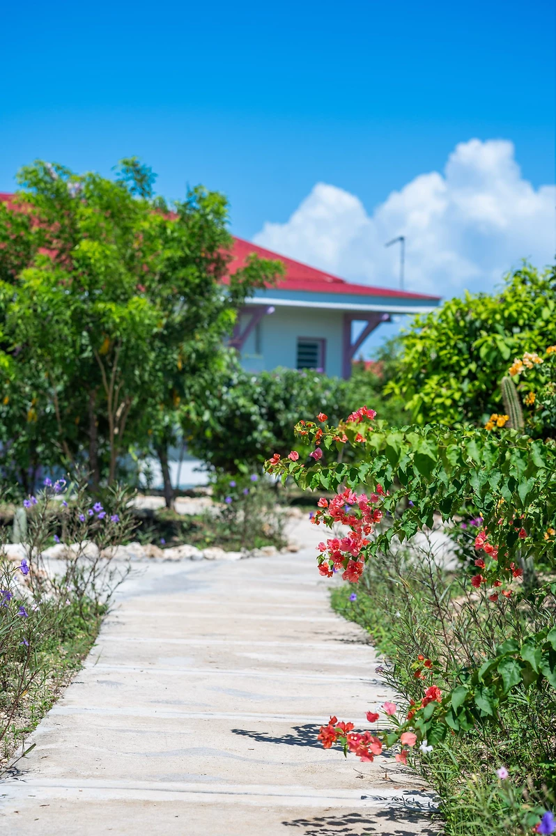 Villa Savonette, Résidence Les Essences de Ménard, Guadeloupe
