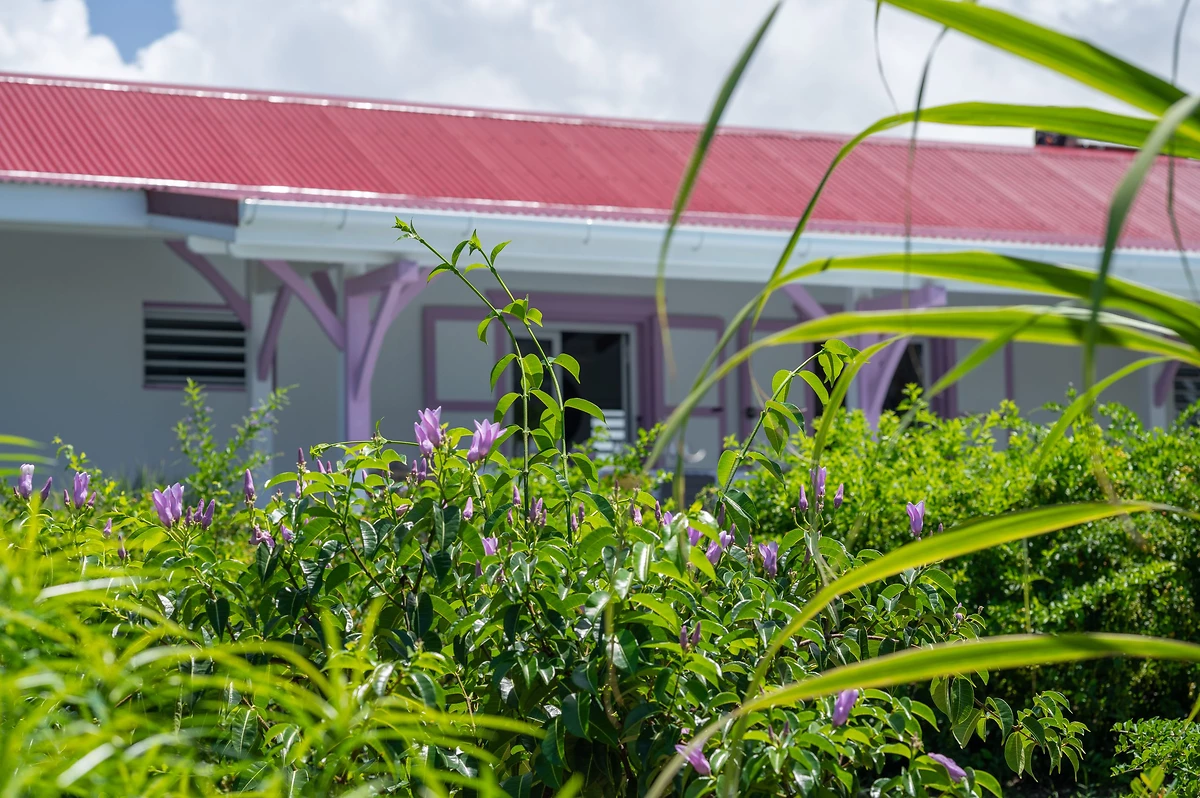 Guadeloupe : Résidence Les Essences de Ménard