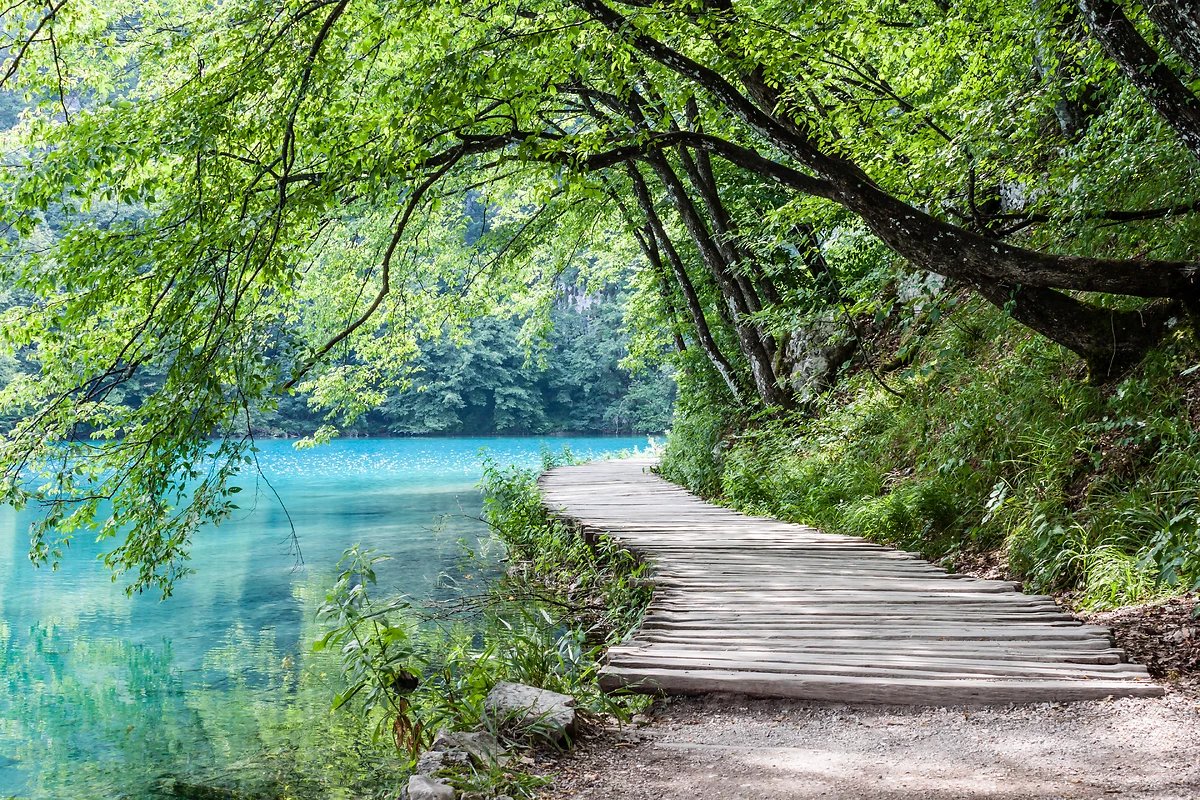 Monténégro : La route des Balkans
