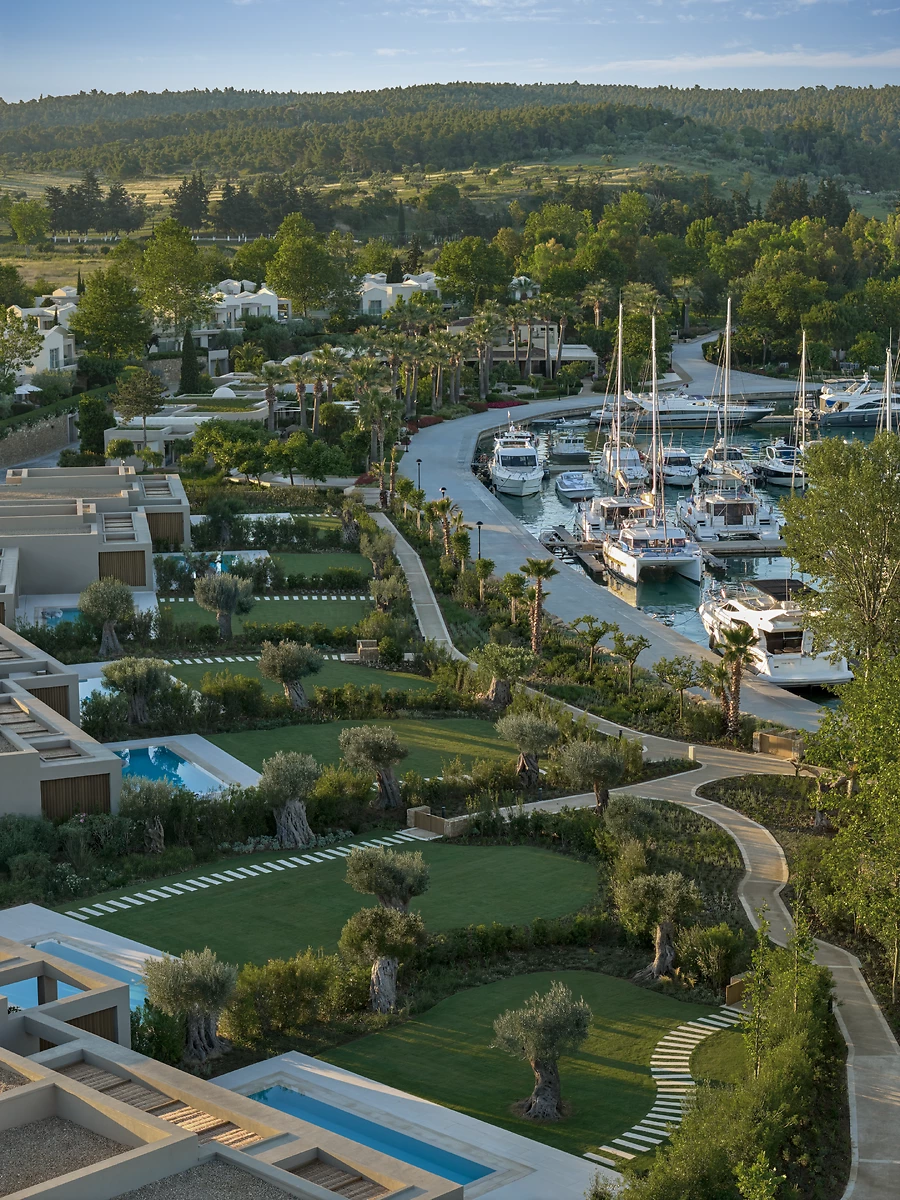 Marina, Sani Asterias