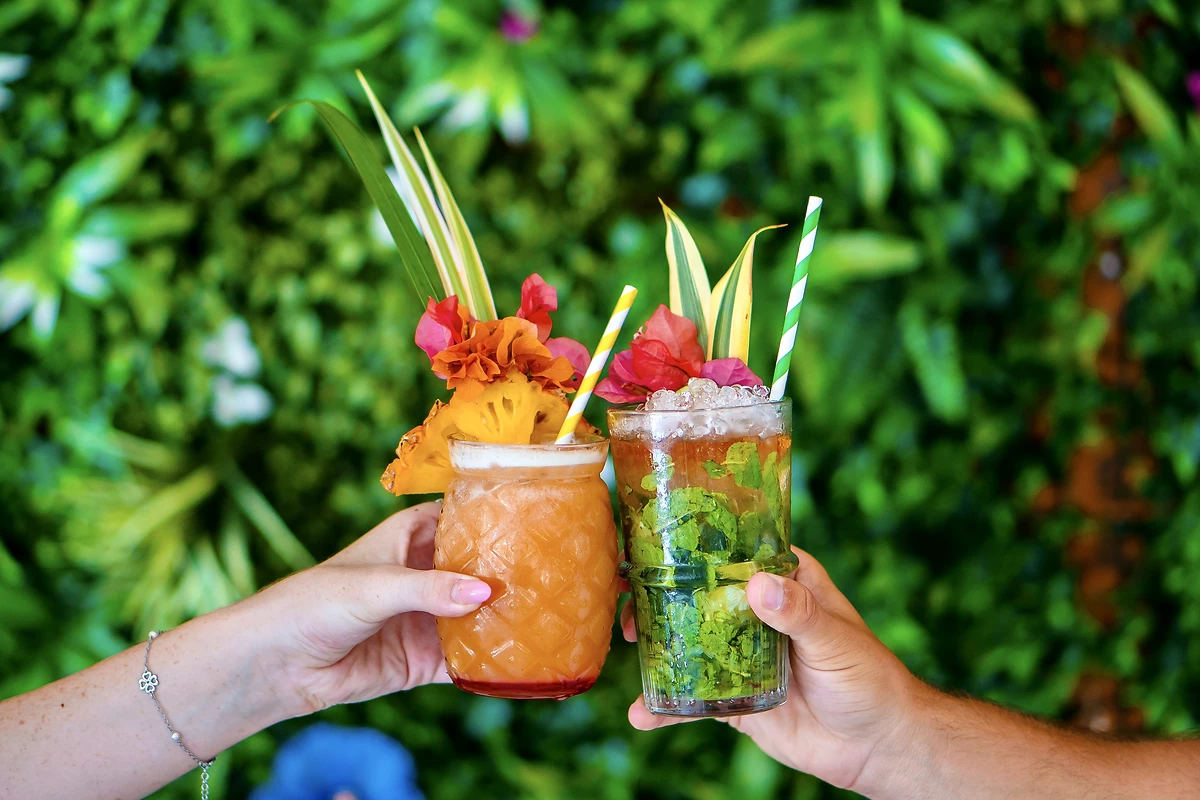 Cocktails servis au Jungle Bar, Tropicana Suites