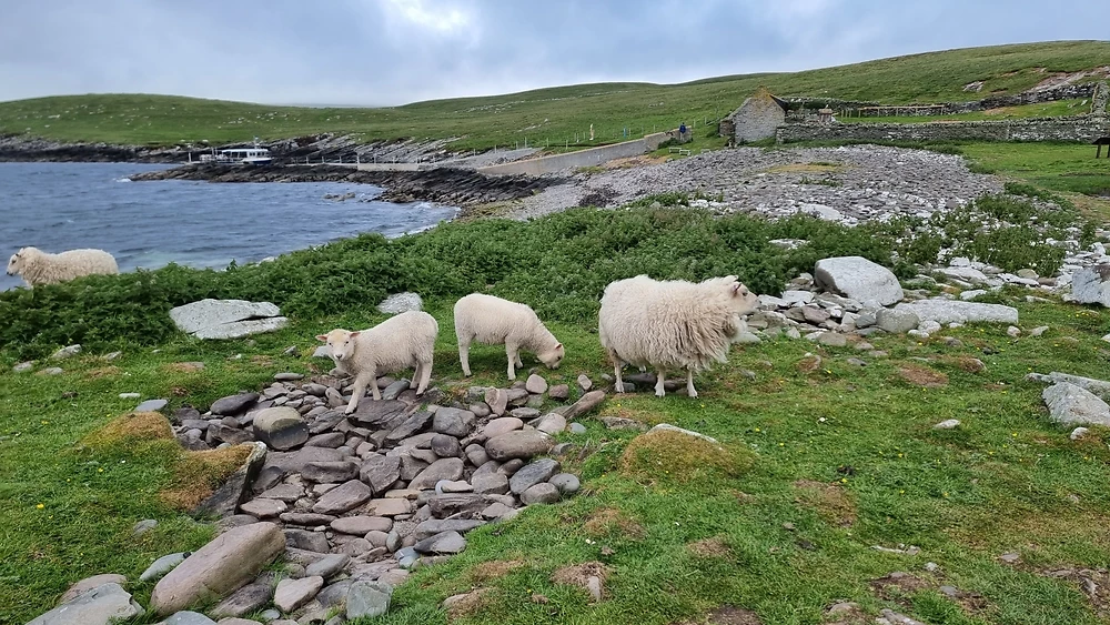 Kirkwall, ïles Orkney, Ecosse