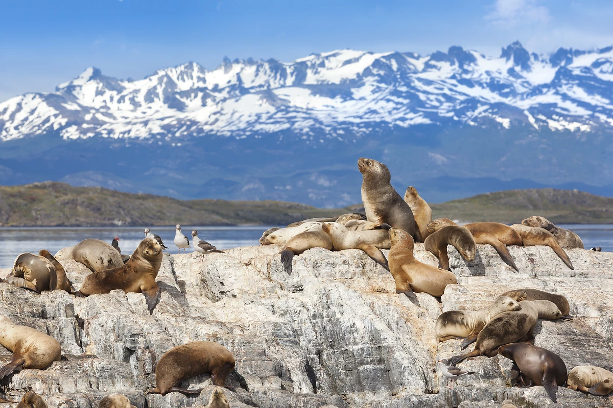 Canal de Beagle, Ushuaïa, Argentine