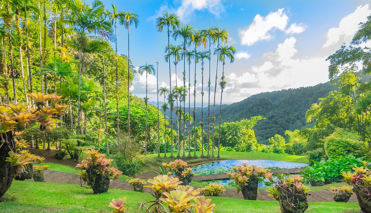 Jardins de la Balata à Fort-de-France, Martinique