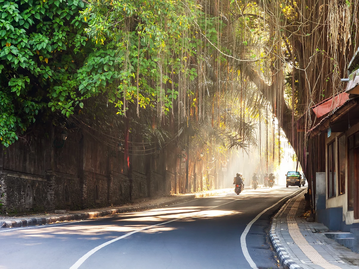 Route à Ubud, Bali, Indonésie