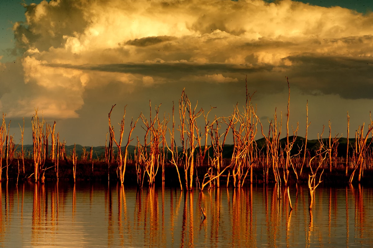 Parc national de Matusadona, Zimbabwe