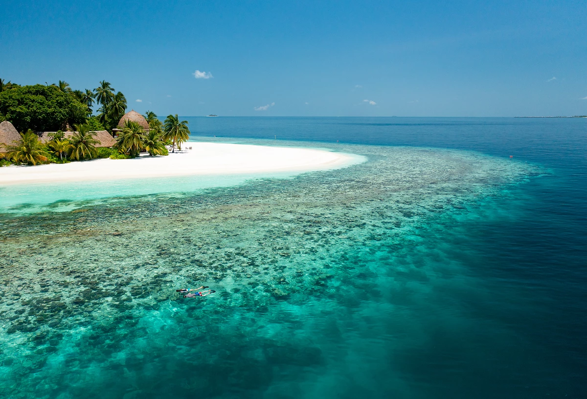 Snorkeling, Kandolhu Maldives, Maldives