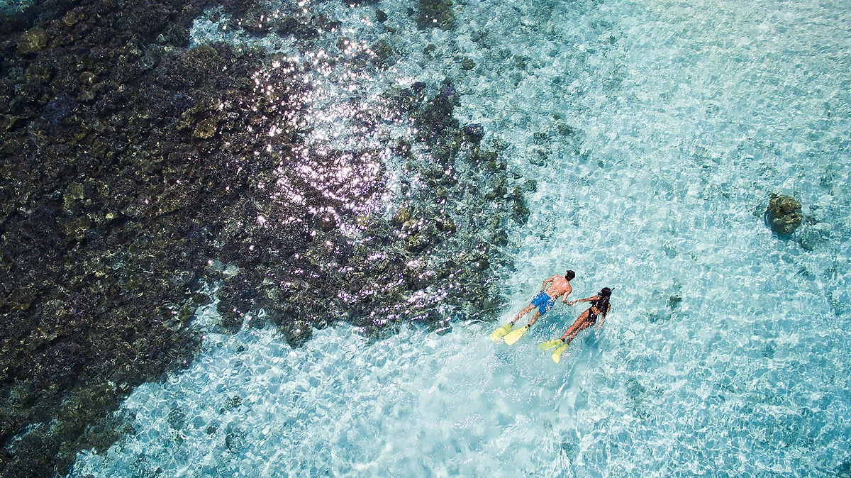 Snorkeling, Huvafen Fushi, Maldives