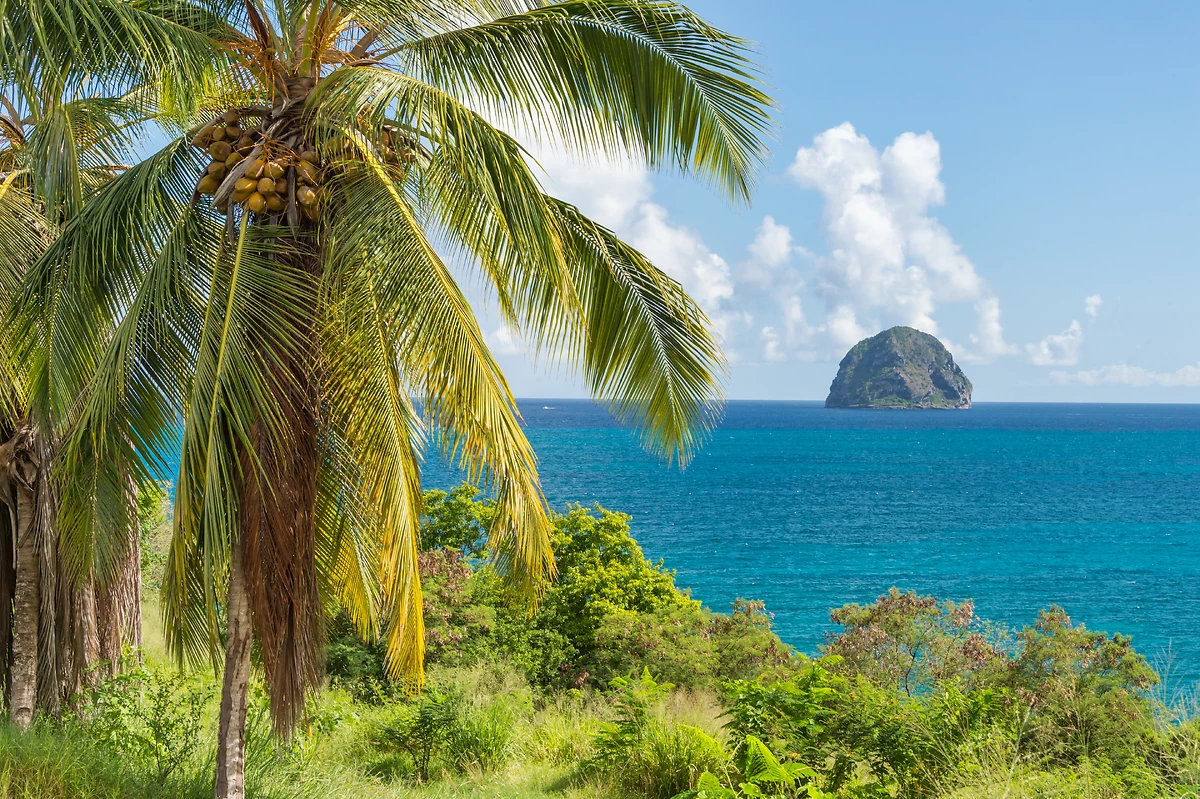 Rocher du Diamant, Martinique