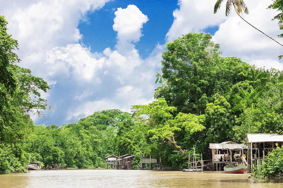 Fleuve Amazone, Amazonie, Brésil