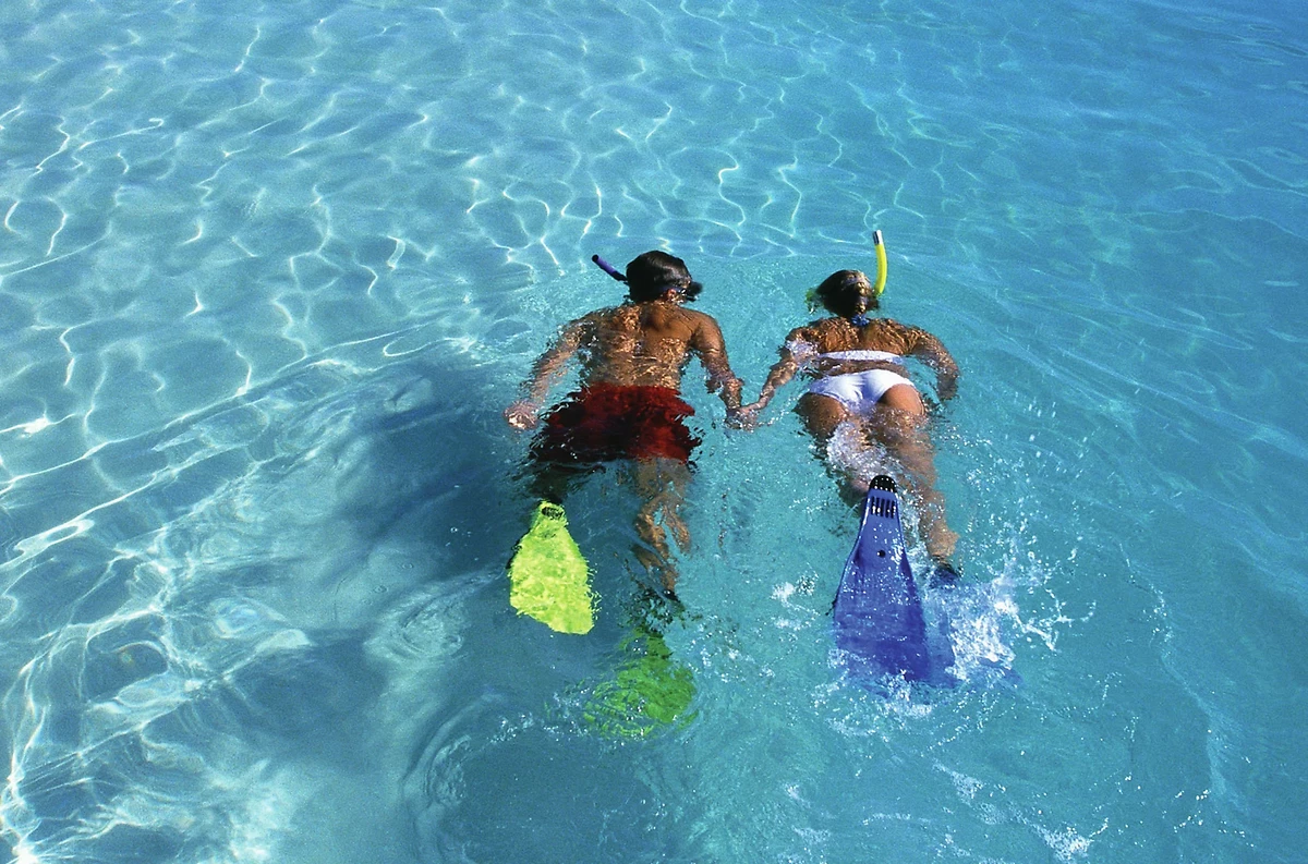 Plongée, Hilton Seychelles Northolme Resort & Spa