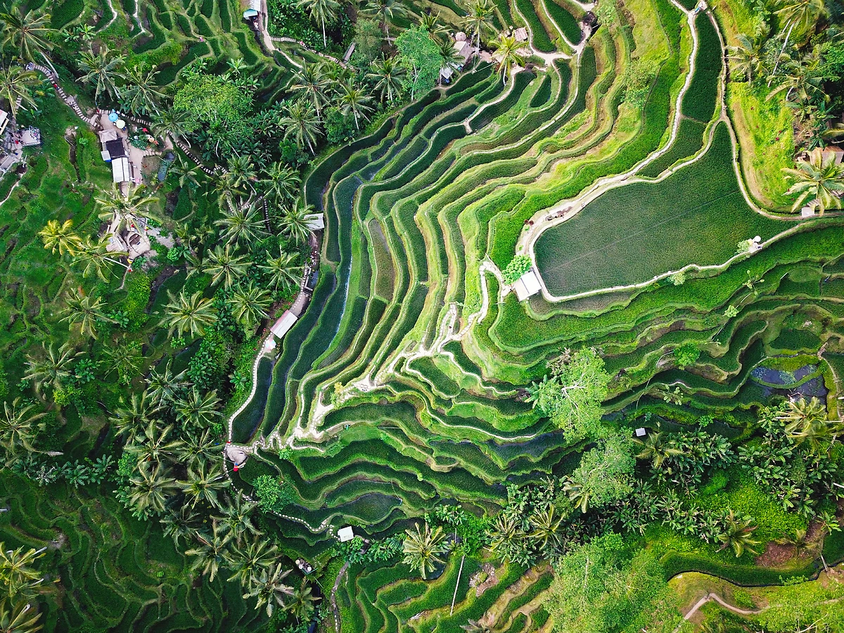 Bali : Bali, île secrète en privé