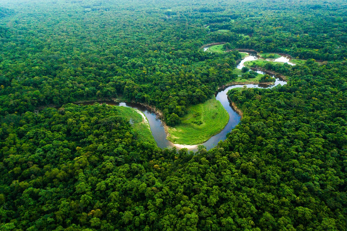 Brésil : Au fil de l'Amazone et du Rio Negro
