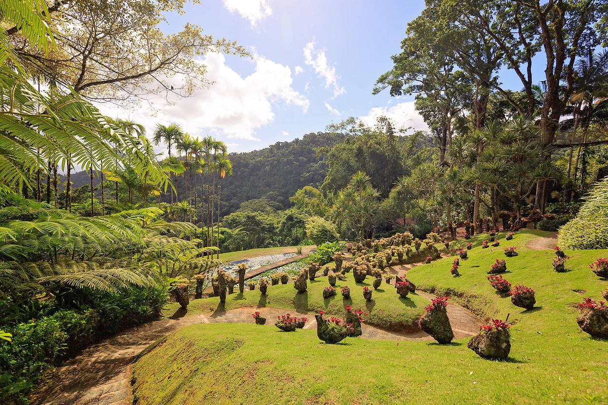 Magnifique jardin de Balata, Martinique