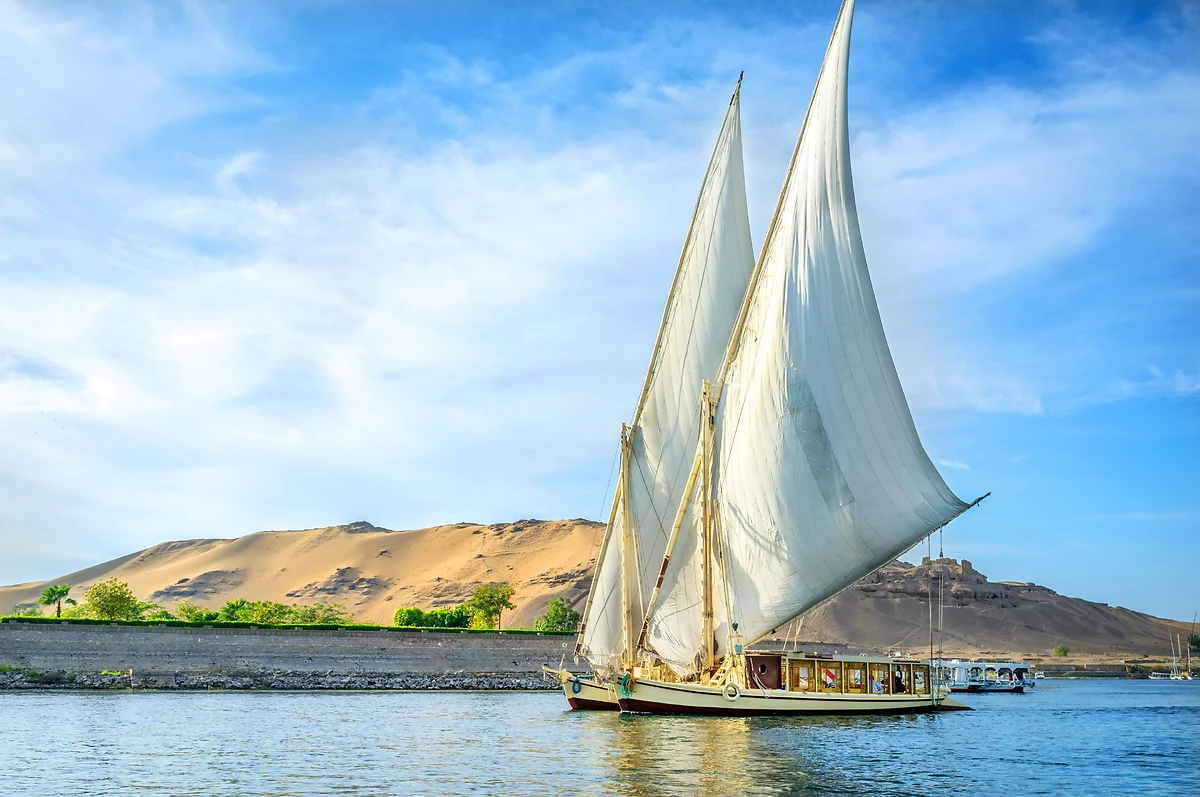 Égypte : Le Secret des hiéroglyphes en privé