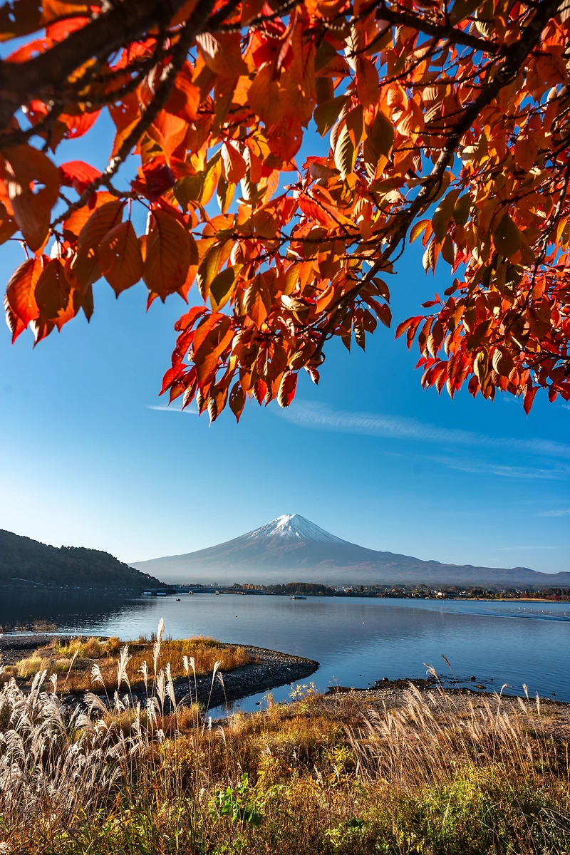 Mont Fuji derrière le lac Kawaguchiko