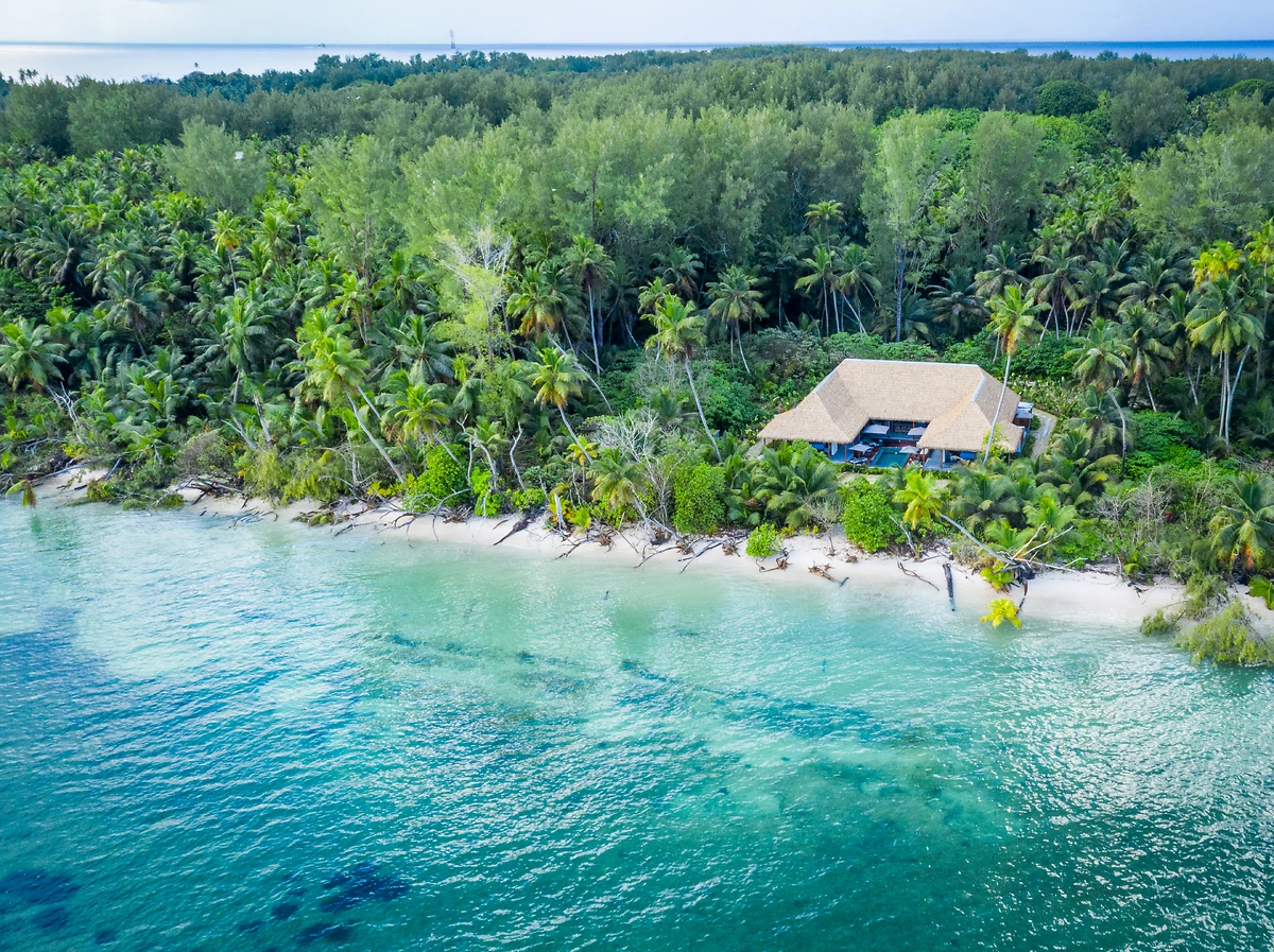 Seychelles : Alphonse Island Seychelles