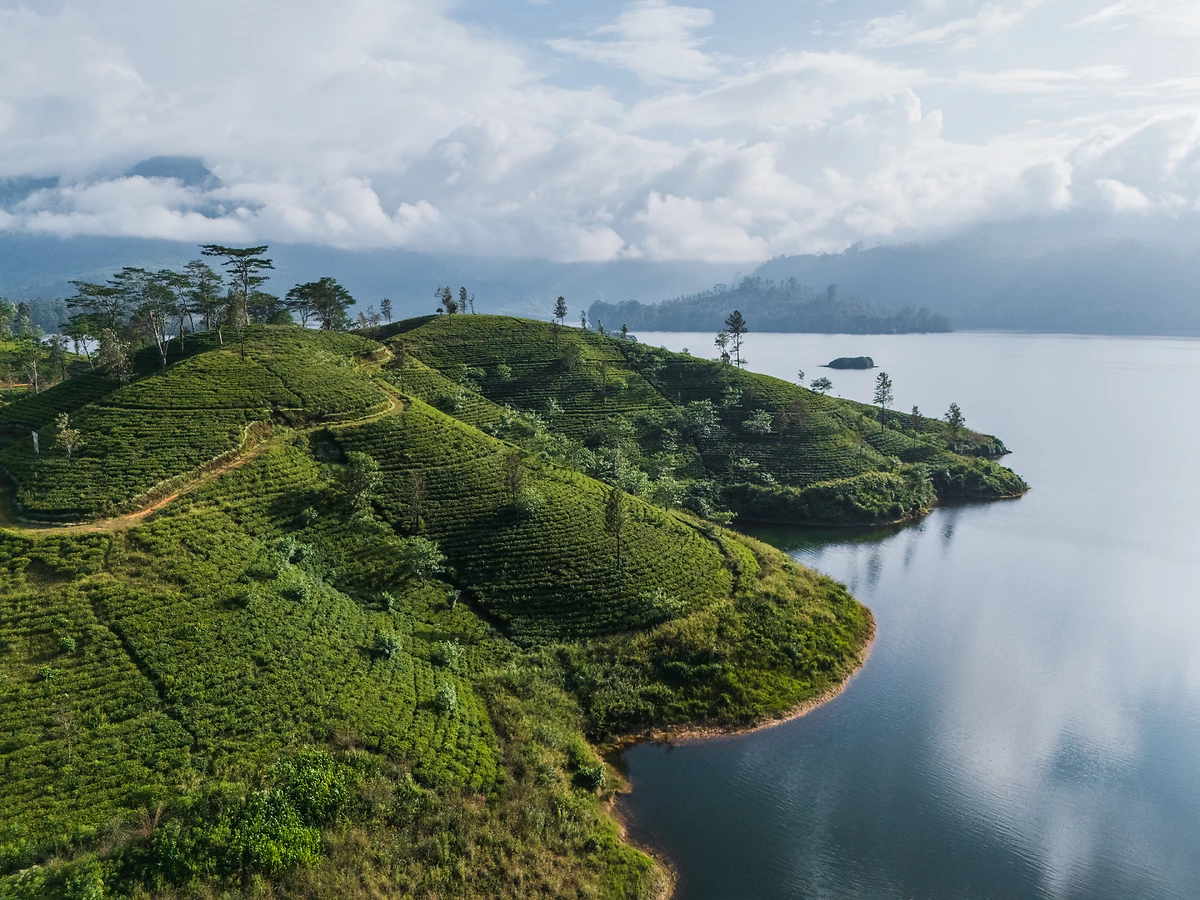 Sri Lanka : En pays cinghalais