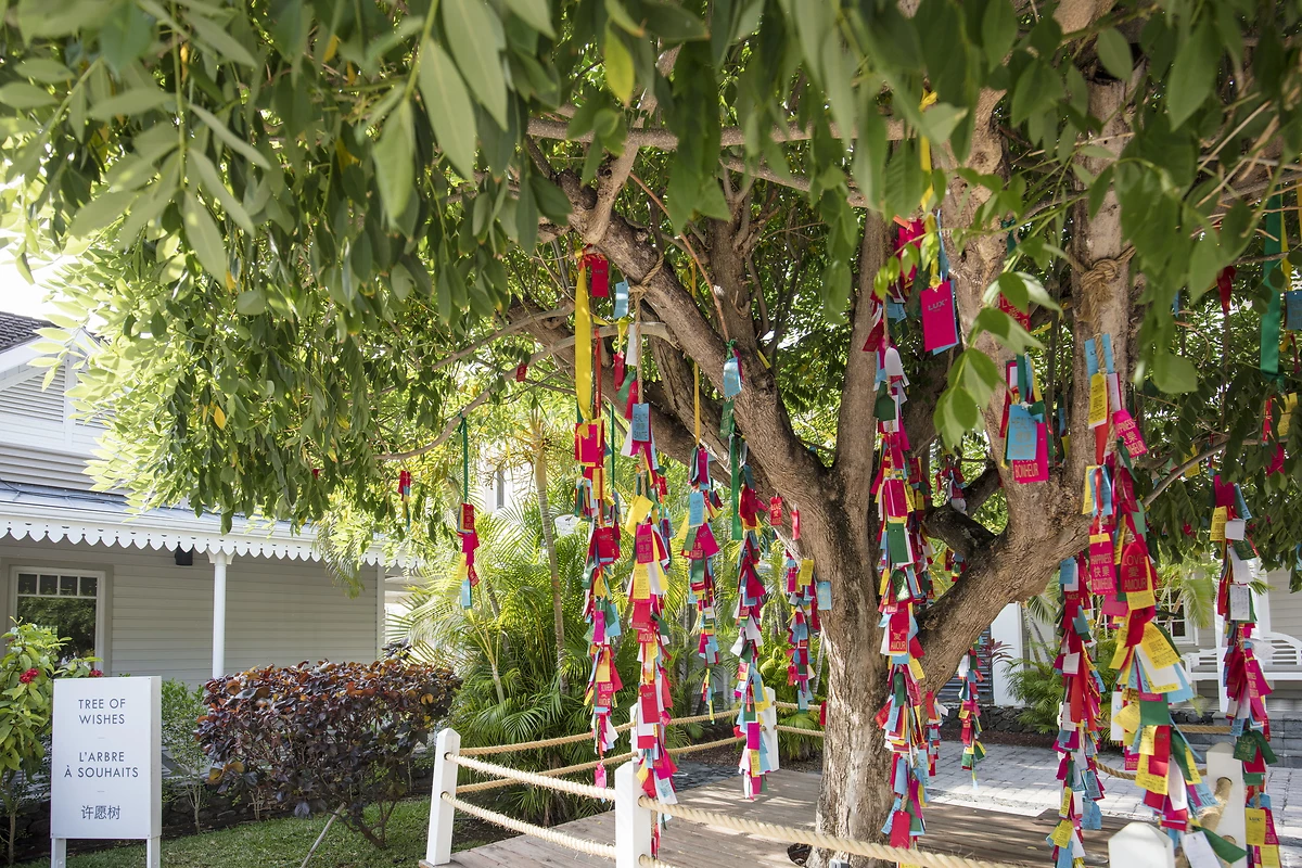 Arbre à souhaits, LUX* Saint Gilles, Île de la Réunion