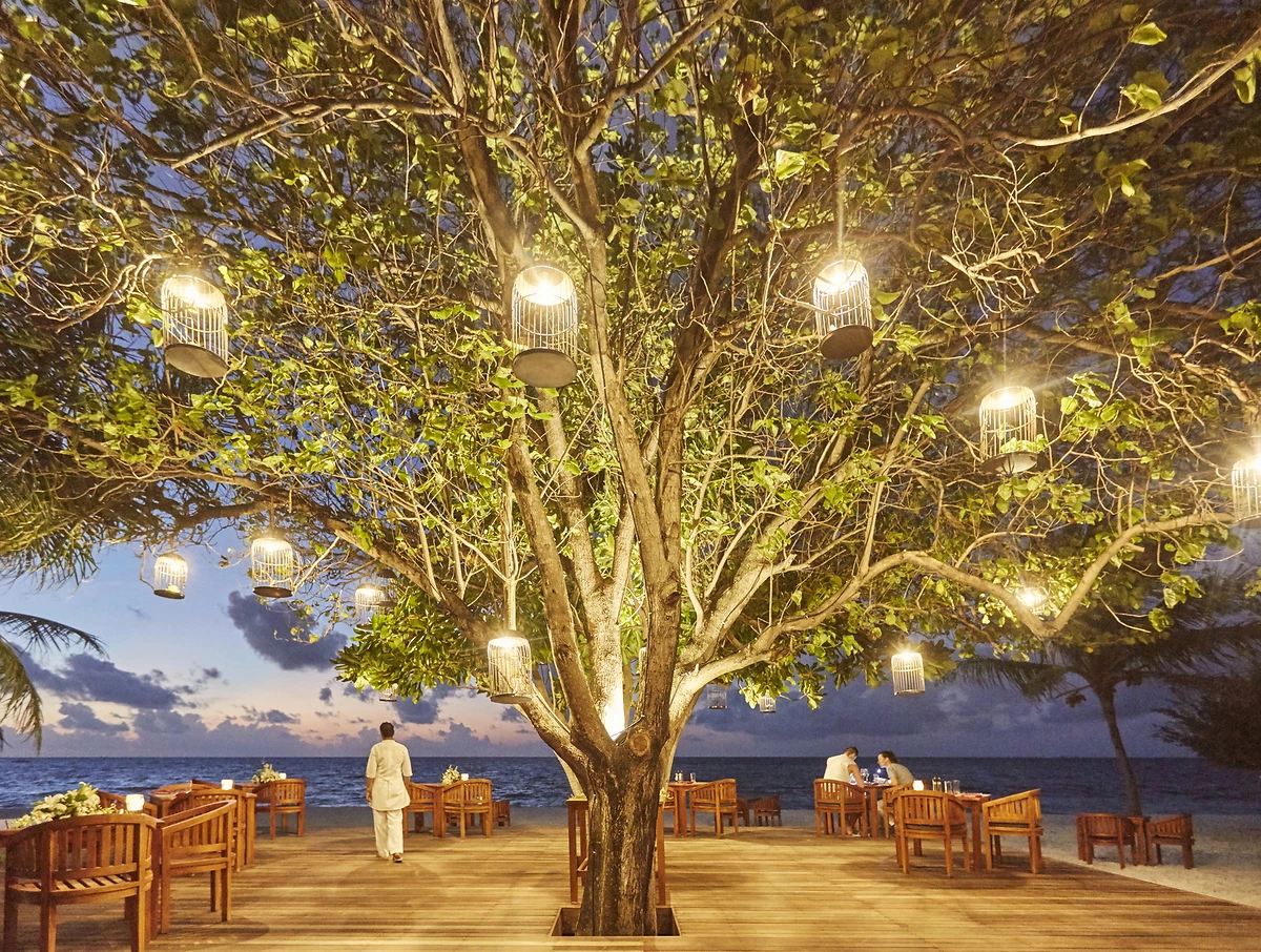 Allegria, Restaurant, LUX* South Ari Atoll, Maldives