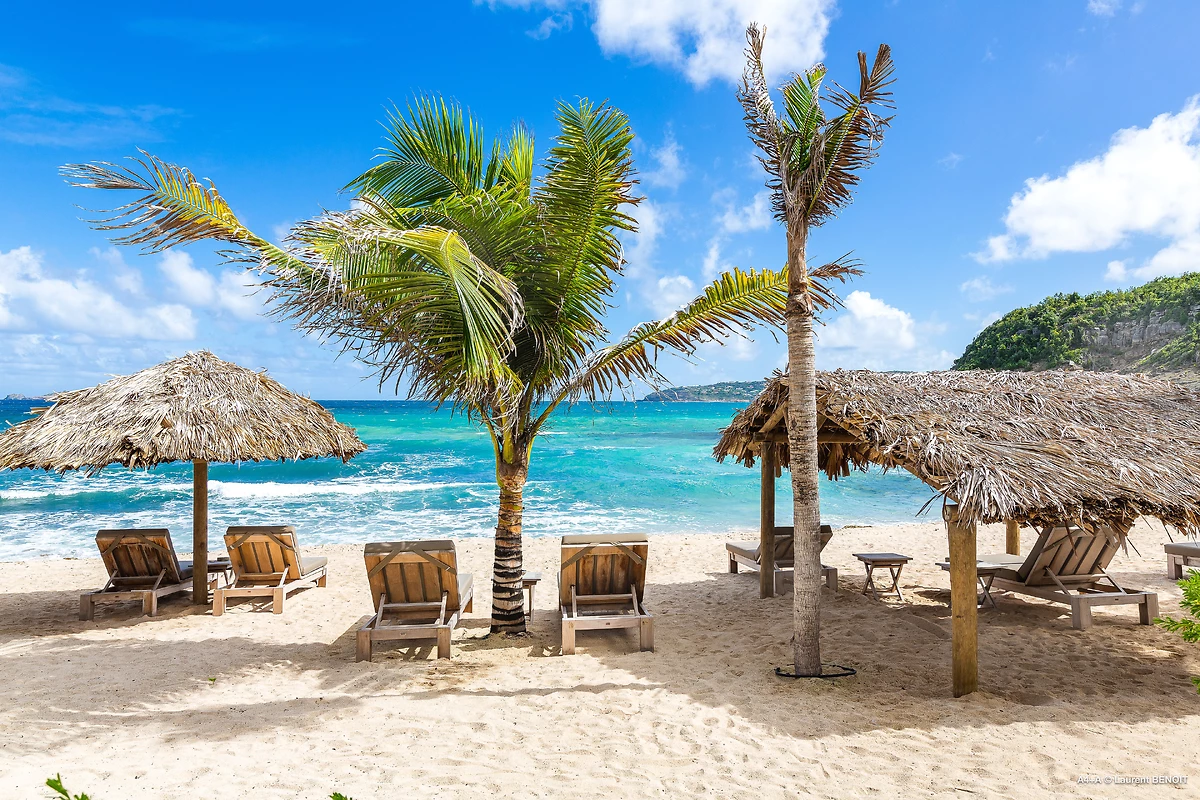 Transats et palmiers, Manapany, Saint-Barthélemy