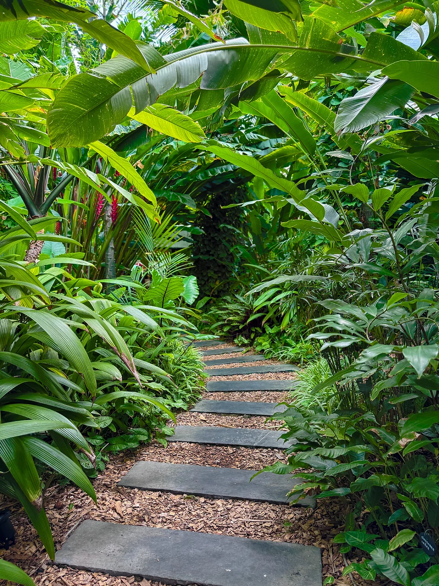 Jardin, Ness By D-Ocean, Ile de la Réunion