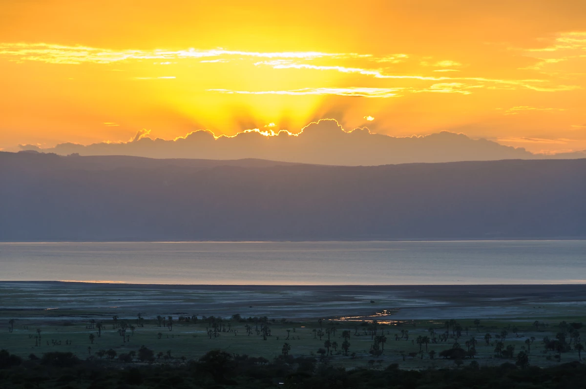Tanzanie : Tanzanie grandeur nature
