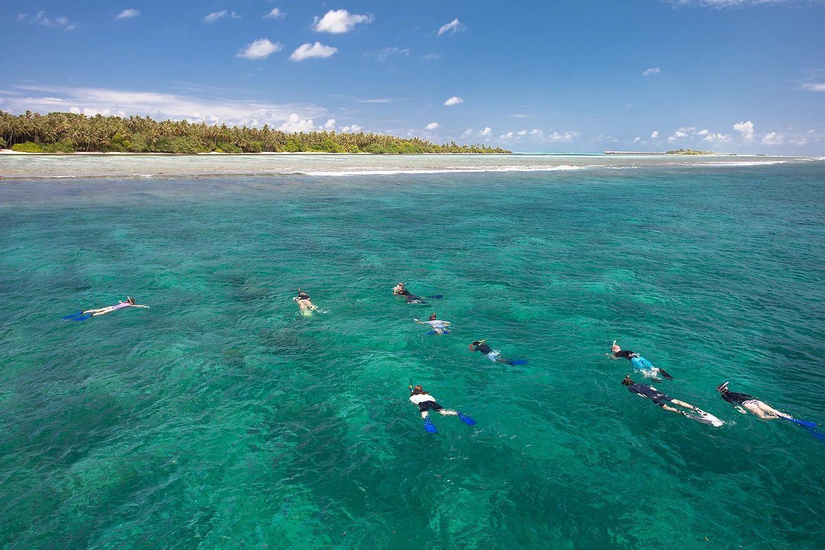 Snorkeling, Vilamendhoo Island Resort & Spa, Atoll d'Ari, Maldives