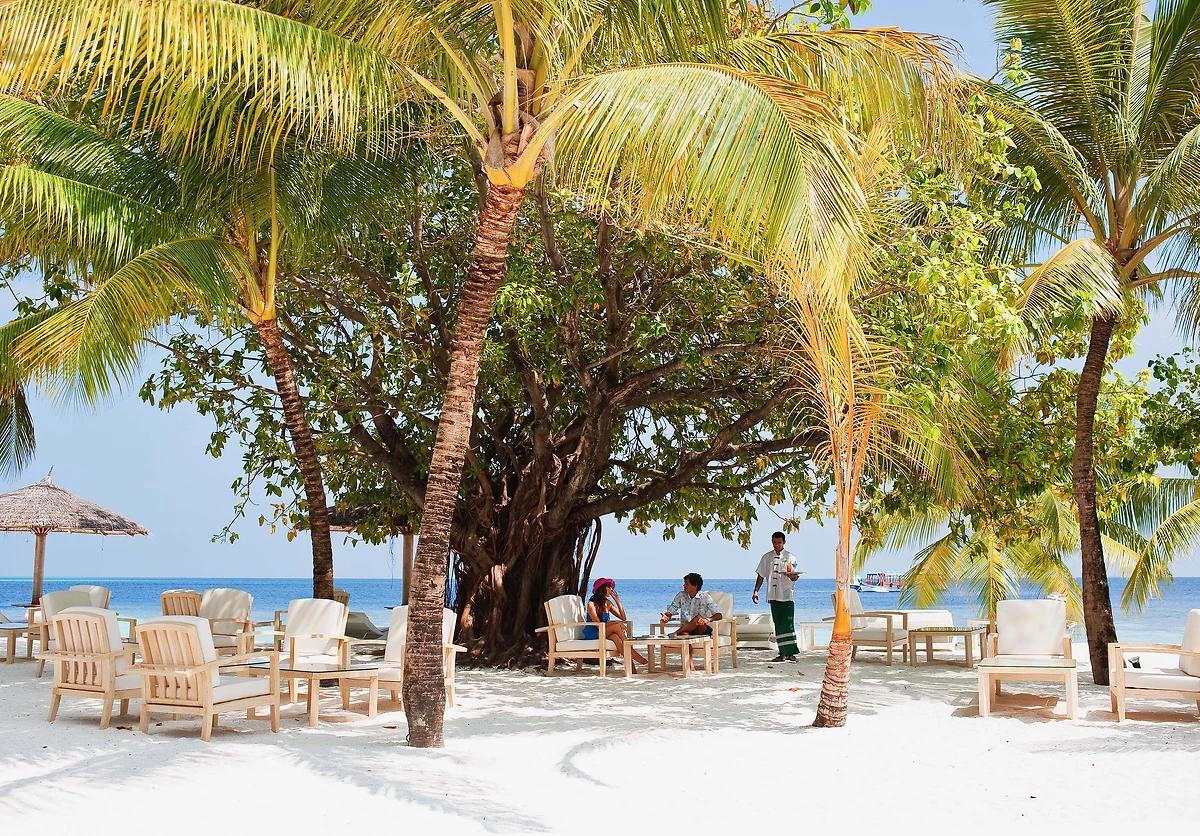 Bar sur la plage, Diamonds Athuruga, Atoll d'Ari, Maldives