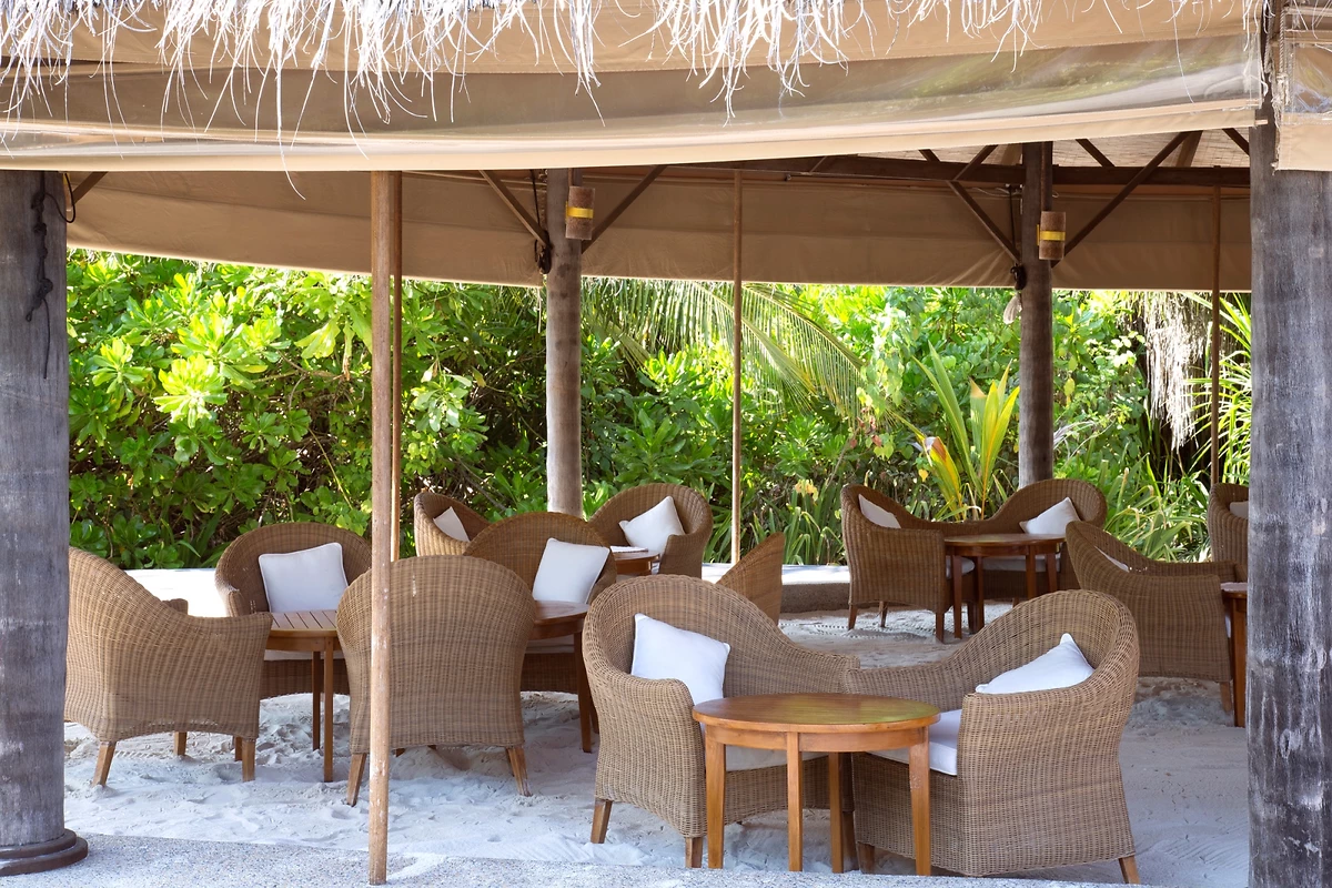Conch Bar, Coco Palm Dhuni Kolhu, Atoll de Baa, Maldives