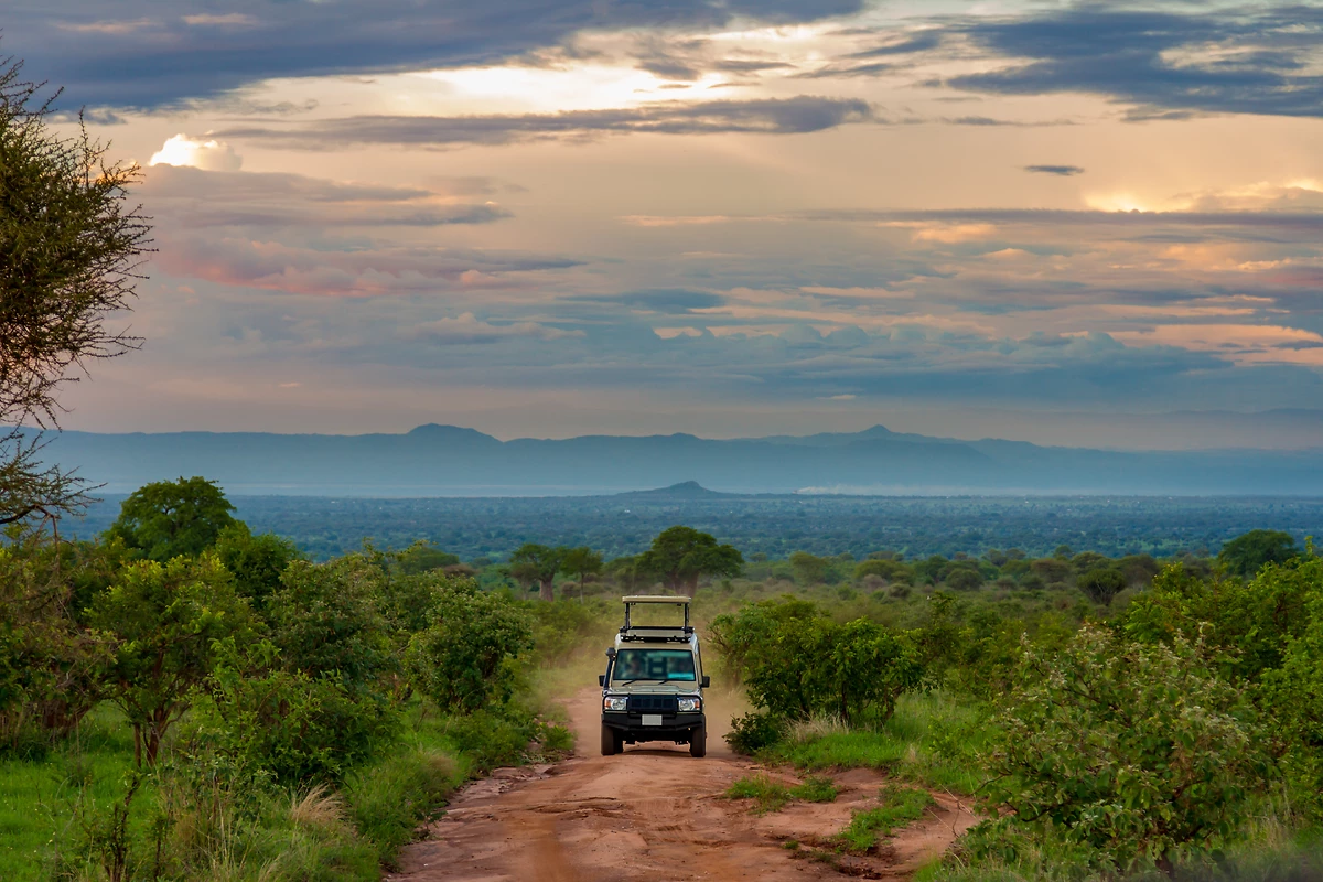 Safari en Jeep, Parc nationla de Tarangire, Tanzanie