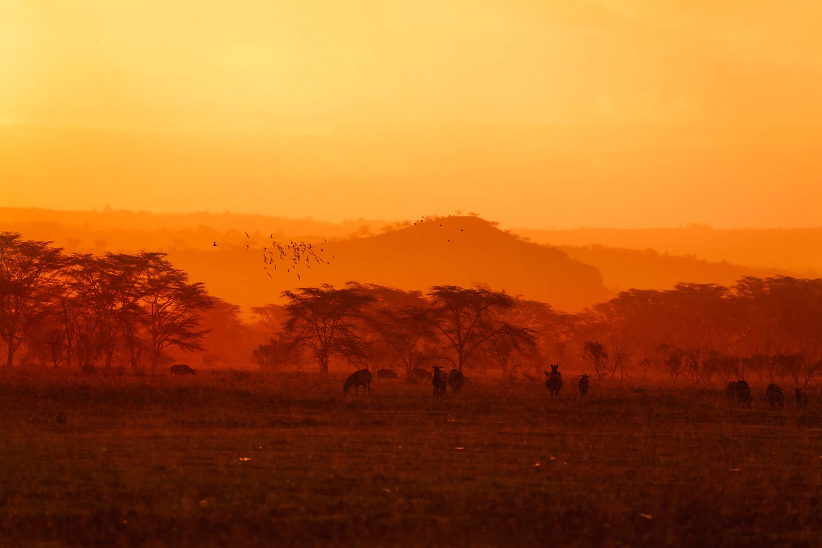 Tanzanie : Matin du monde
