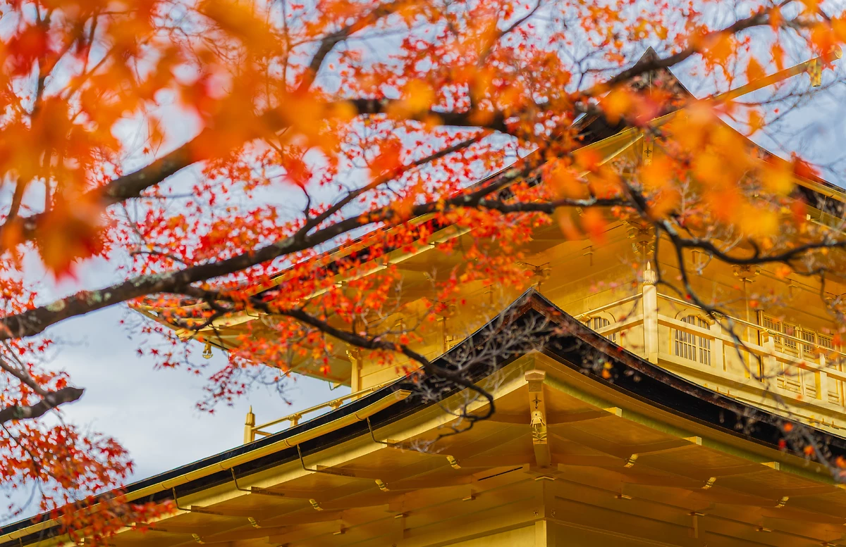Kinkaku-ji, Kyoto, Japon