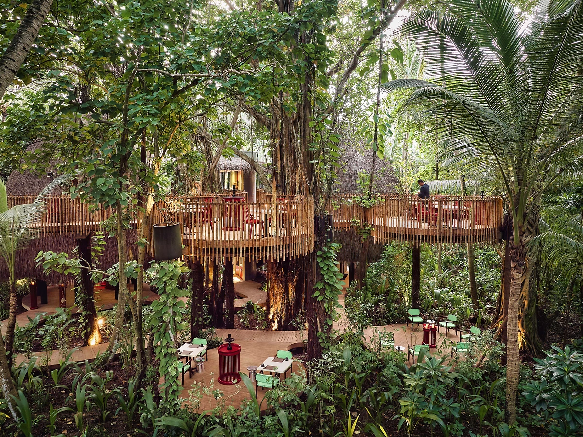 Nest Restaurant, Niyama Private Islands Maldives