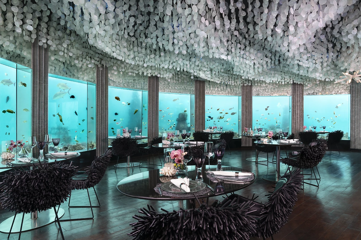 Restaurant Subsix, Niyama Private Islands Maldives