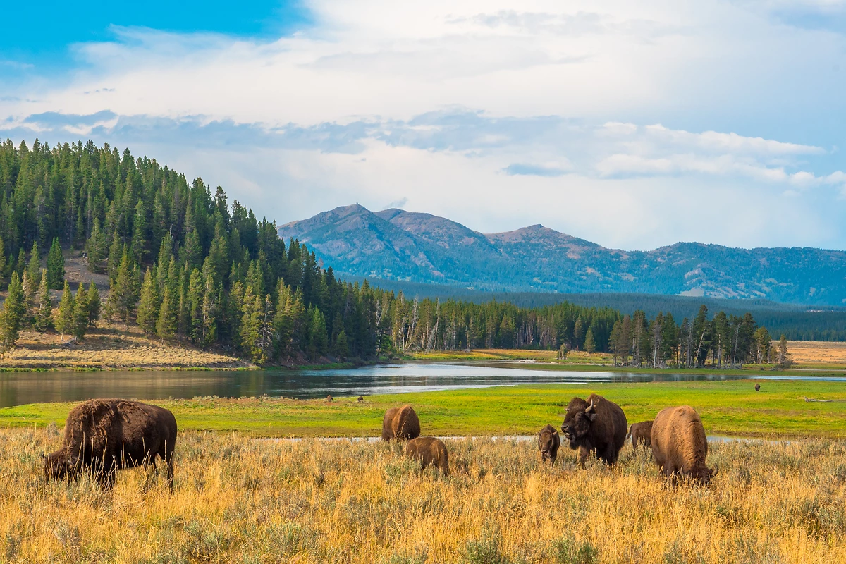 États-Unis : Des Rocheuses américaines au lac Tahoe