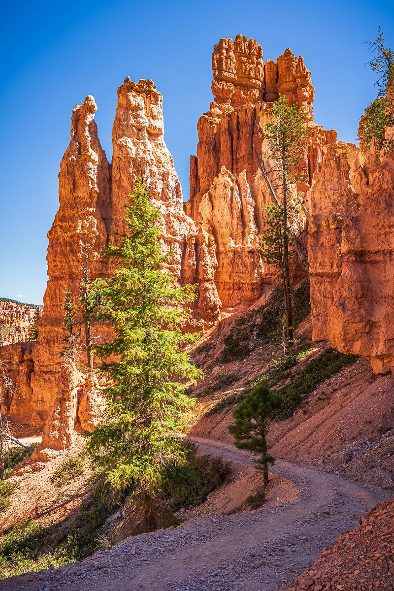 Randonnée sur la boucle de Peakaboo au parc national de Bryce Canyon