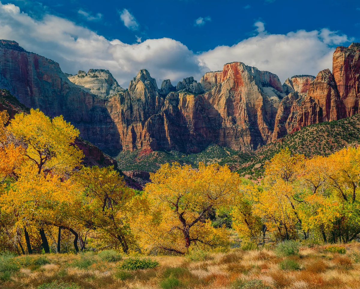 Paysage automnal devant au parc national de Zion